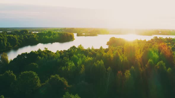 Elevated View Of Green Forest Growth On River Coast Landscape In Sunny Summer Evening