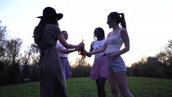 Company of multiracial female friends clinking bottles in park at sunset
