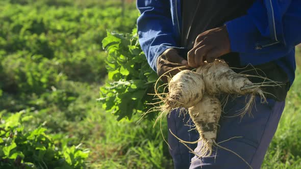 Young man working on farm