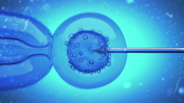 DNA Filled Liquid Being Injected Into An Egg Cell Nucleus