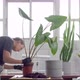 Young Woman Plant Alocasia Zebrina in a Pot in Sunny Loft Studio. Plant Store Owner at Work - VideoHive Item for Sale