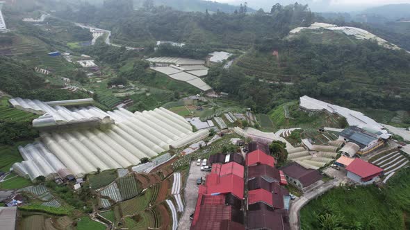 Cameron Highlands, Pahang Malaysia