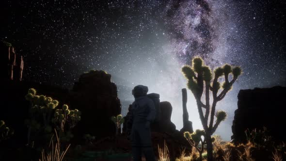 Astronaut and Star Milky Way Formation in Death Valley