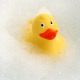 Rubber Duck In Foam Bath - VideoHive Item for Sale