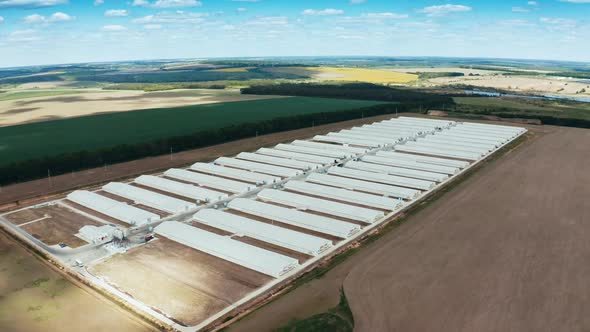 Overhead view of poultry farm. Poultry farm building in rural area from above