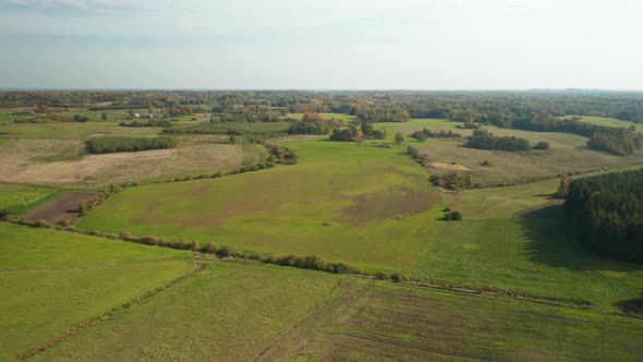 AERIAL: Horizon with Sky and Forest in Background on a Sunny Autum Day