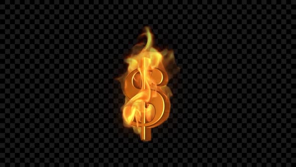 Burning Dollar - Fire Show