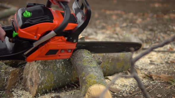 Using Chainsaw to Sawing Log