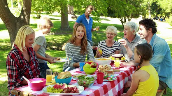 Family having picnic in the park alt