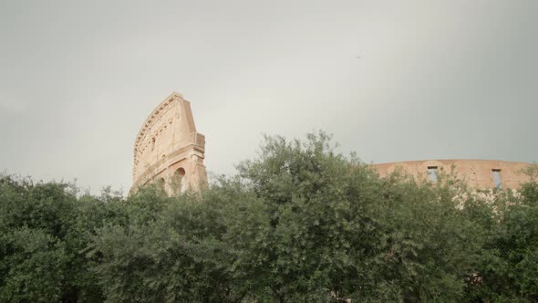 Highest Part of Colosseum Seen Behind Lush Green Trees