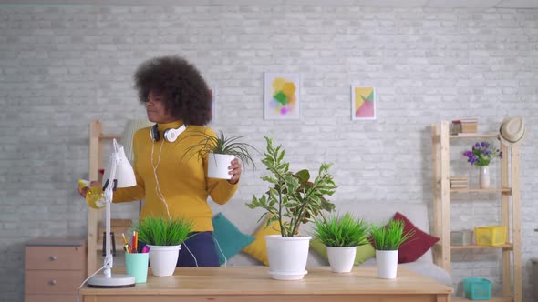 Cheerful and Positive African American Woman Takes Care of Flowers and Plants in Modern Apartments