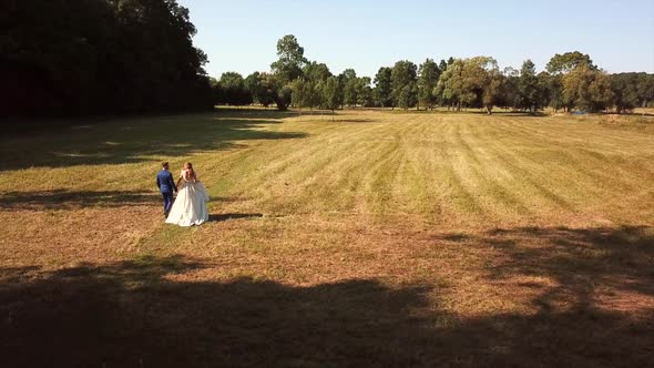 Newlywed Couple In Suit And Wedding Gown Walking At The Field On A Sunny Day. Wedding Photoshoot. ae