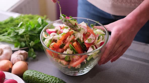 Woman Mixes a Salad of Vegetables in Glass Bowl  Tomatoes Cucumbers Onion Parsley
