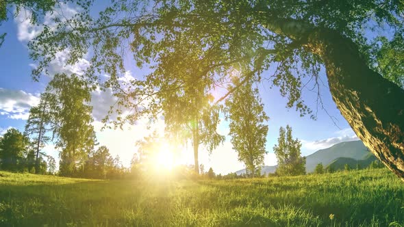 Mountain Meadow Timelapse at the Summer or Autumn Time