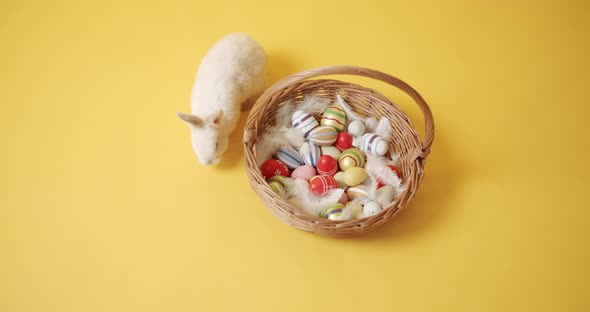 White Rabbit on a Yellow Isolated Background Plays with a Basket and Eggs