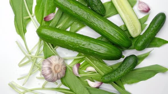 Products for Wild Garlic Salad