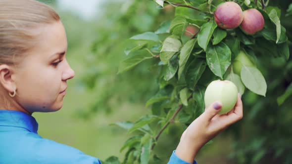 Young Woman is Inspecting and Picking an Ecological Apple