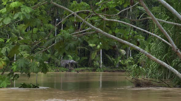 Floating down the river in Brazil on a cloudy day. Dolly shot of a boat trip on a river.