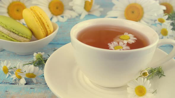 Brewing a herbal tea from chamomile in white cup. Summer theme.