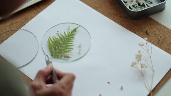 Woman Fixes Glass Plates