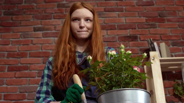 Beautiful Redhead Girl Looking After Flowers