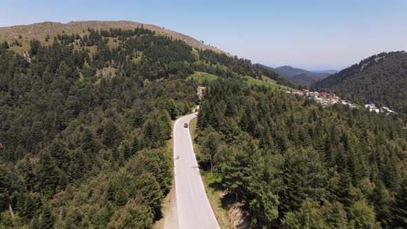 Flying Above Forest Road