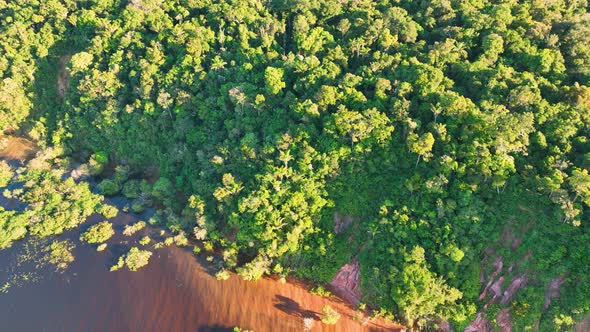 Stunning landscape of Amazon Forest at Amazonas State Brazil.