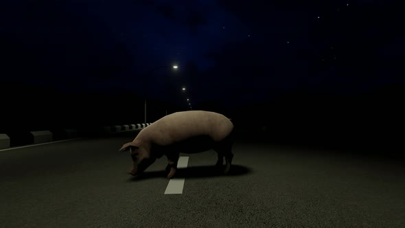 Fast-moving Vehicle On Road and Pig in Front