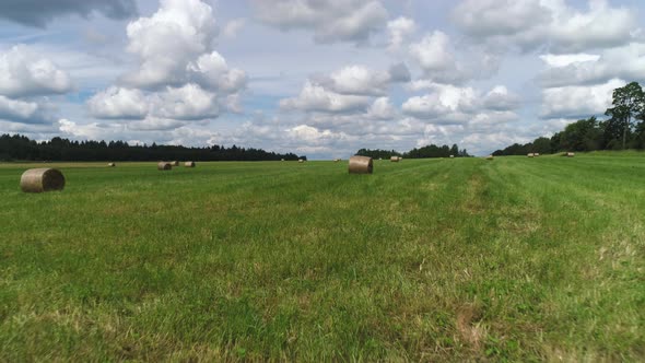 Hay bales with dry grass