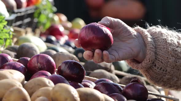 Onions at the Market Stall.