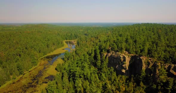 Beautiful 4K aerial shot over a pine forest and swampy river