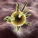 3D rendered animation of a generic Virus. - VideoHive Item for Sale