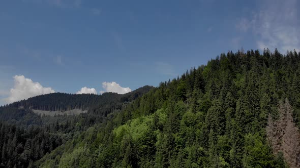 Green Mountain Forest and Blue Sky Background