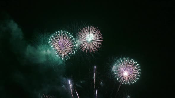 Colorful Firework display at night on sky background