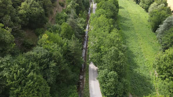 Road Between Trees