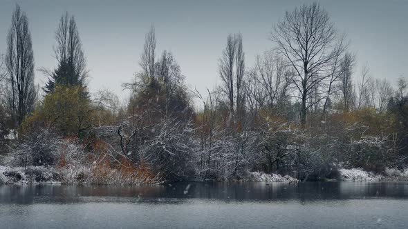 Winter Lake In Snowfall