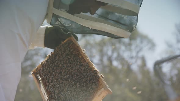 BEEKEEPING - Beekeeper placing frame in hive after inspection, slowmo close up