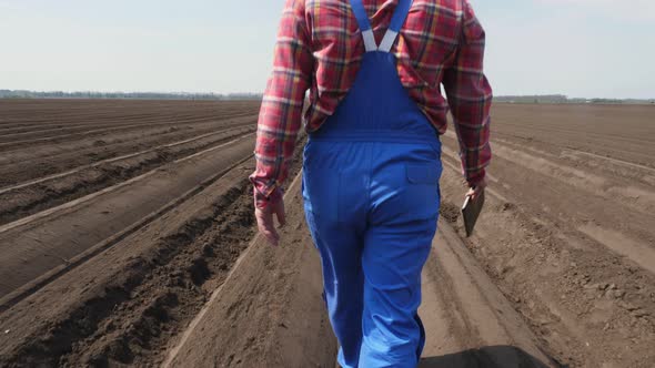 Farmer, Agronomist Walks Through Deep Furrow, Between Soil Rows on Field, with Tablet, Testing