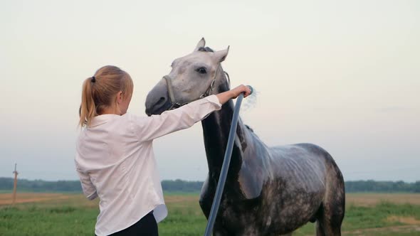 Woman Bathes the Horse Washes and Takes Care of