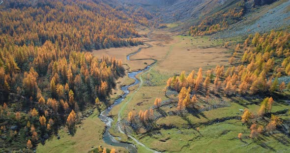 Forward Aerial Over Alpine Mountain Valley and Orange Larch Forest Woods in Sunny Autumn