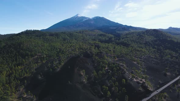 Incredible Aerial Views of Lava Forests in Teide Volcano National Park