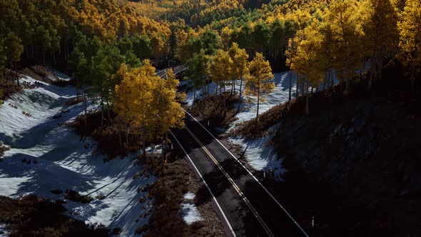 Aerial View of Snowy Forest with a Road