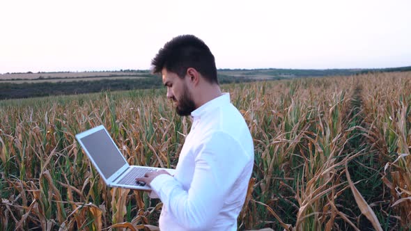 Handsome Serious Agricultural Engineer, Walking on the Corn Field Severely Affected By the Drought