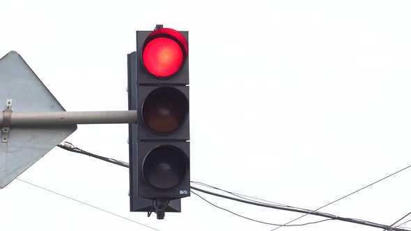 Traffic Light on the Road Regulates Traffic