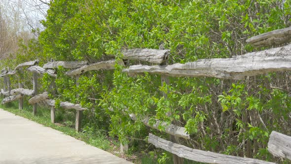 Wooden fence along bushes