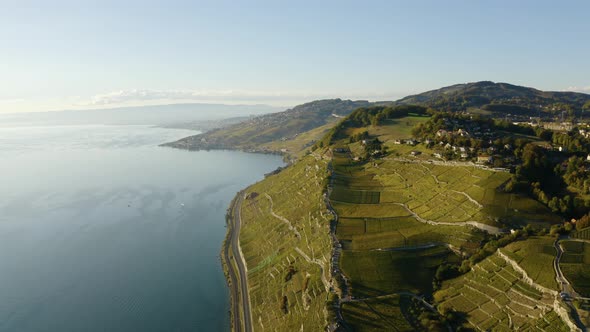 High flight above Lavaux revealing steep vineyard with autumn colors at sunsetSwitzerland