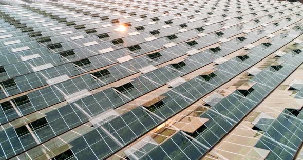 Green farm covered with rooftop glass 4k