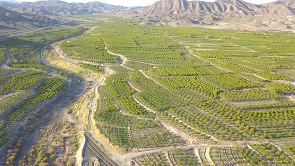 Flying above the farms in the spring.