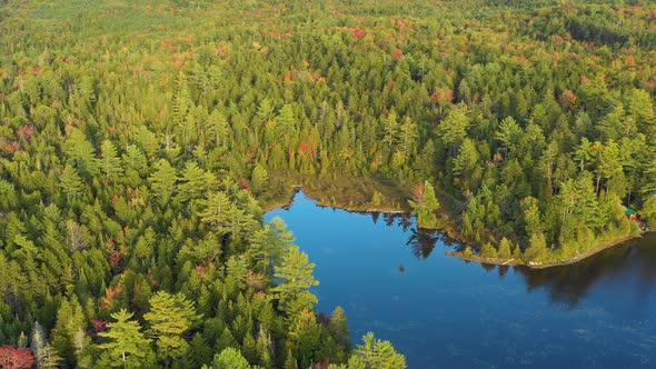 Aerial drone orbiting around a bright blue lake with colorful autumn trees surrounding the water as