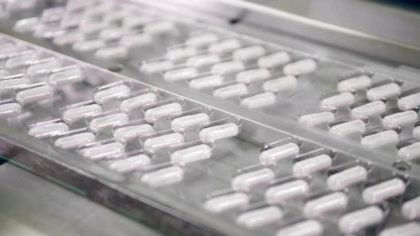 Blister Packs with Medication Capsules Moving Along the Conveyor